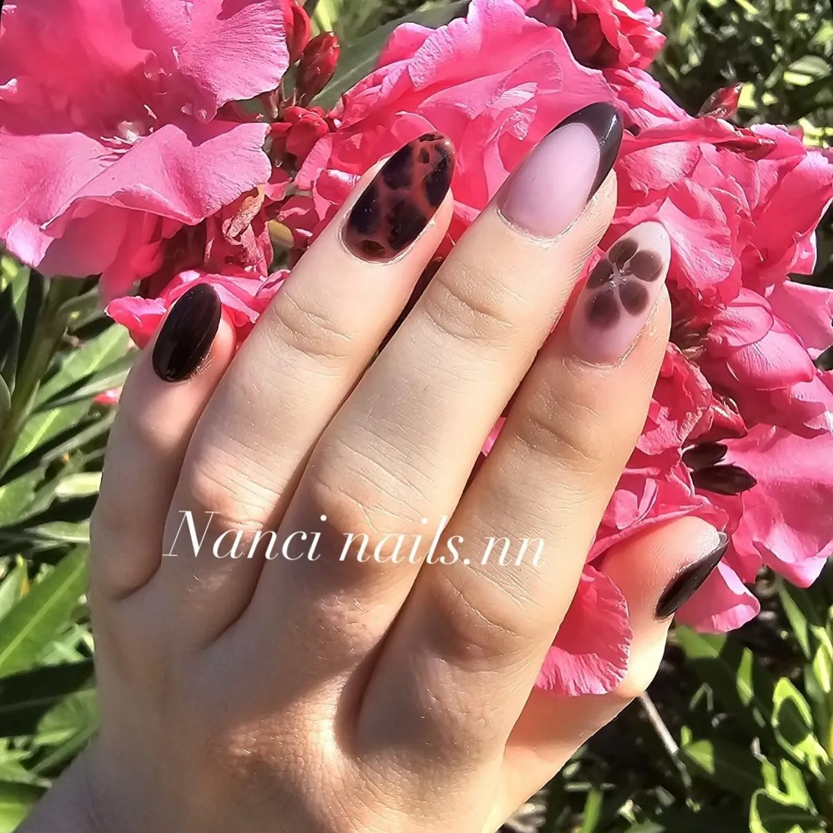 Uñas almendradas en negro con efecto carey y una flor difuminada, sobre adelfas rosas